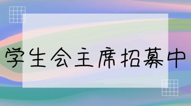 学生会主席竞选 暖色大学学生会主席竞选个人名片 模板图片 图怪兽