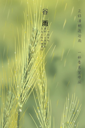 谷雨二十四节气手绘清新公招号配图