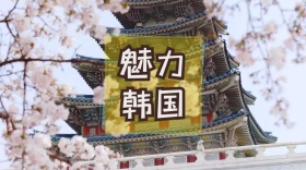 魅力韩国创意简约公众号封面