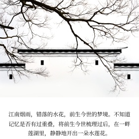 江南烟雨文艺小清新公众号正方形配图