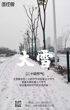 二十四节气大雪创意手机营销海报