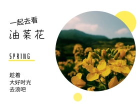 趁着 油菜花 去浪吧 一起去看 大好时光 SPRING 春天春季春游景色油菜花公众号配图
