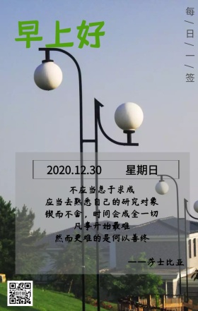 简约花瓶绿植清新早安励志日签