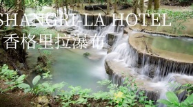 香格里拉酒店公众号封面