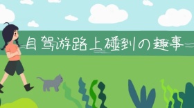 自驾游路上碰到の趣事公众号封面