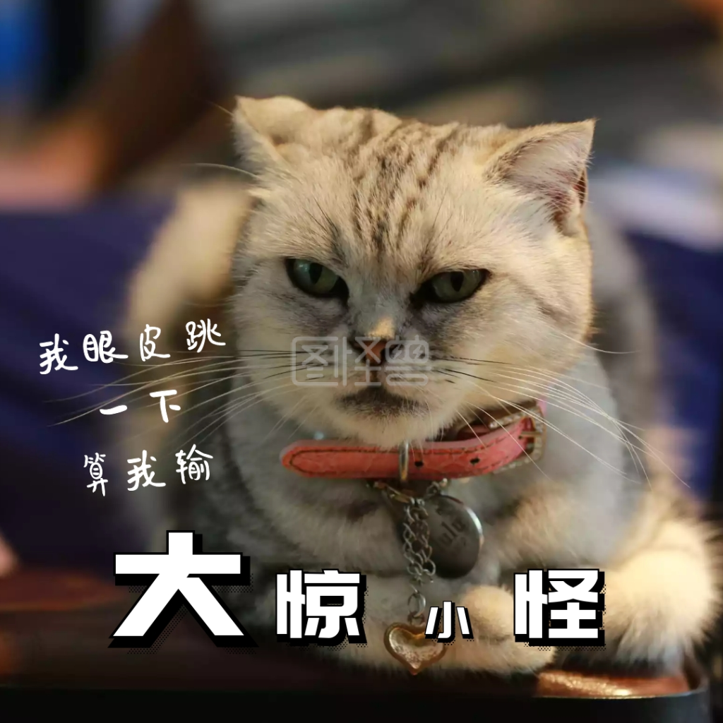 猫猫头冷静大惊小怪表情包