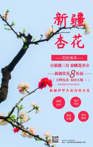 新疆杏花手机海报