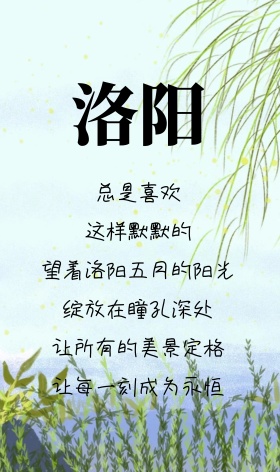 洛阳淡雅大气牡丹