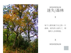 复古胶片风文艺花束公众号配图