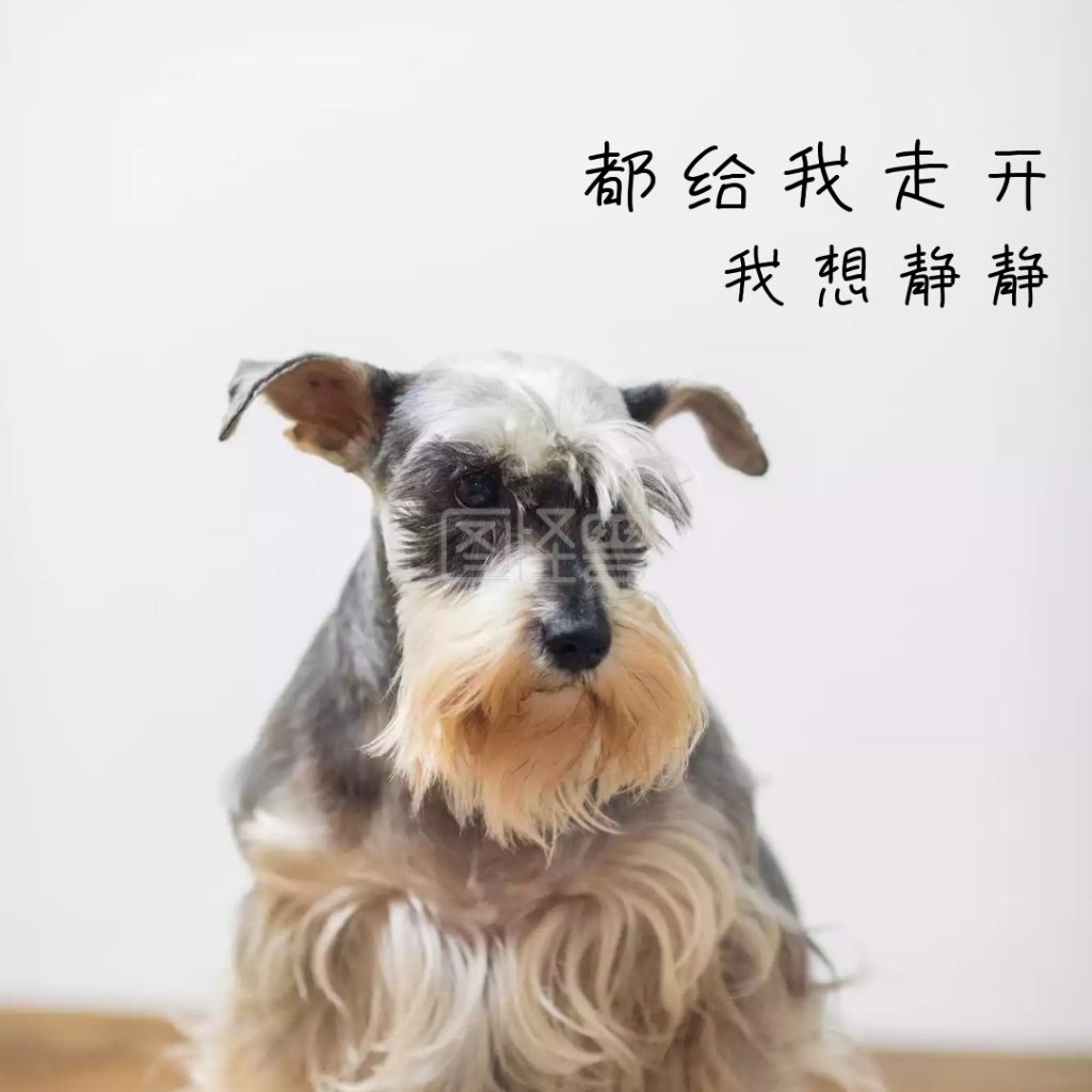 不要走开-生气的走开表情包在线图片制作-图怪兽