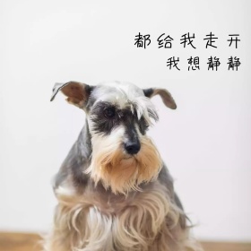 生气的走开表情包