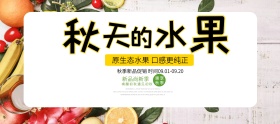 淘宝电商美食秋季丰收水果促销海报banner