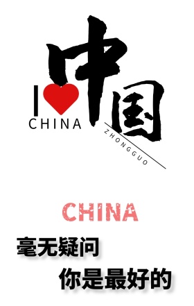 DG设计师辱华中国你是最好的海报