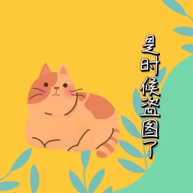 盗图 表情包