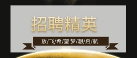 招聘精英棕色封面