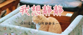 我想静静公众号封面