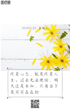 阳光洒落在花瓶上文艺正能量语录早安日签