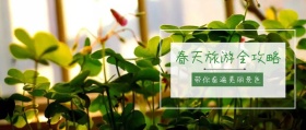 春天旅游攻略公众号封面