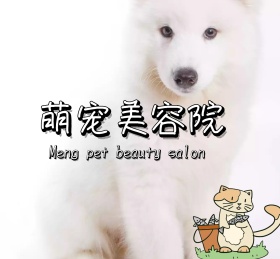 萌宠宠物可爱动物朋友圈封面