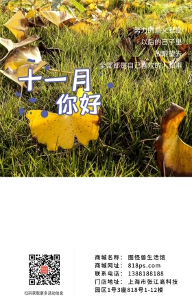 花朵早安问候十一月你好简约文艺海报