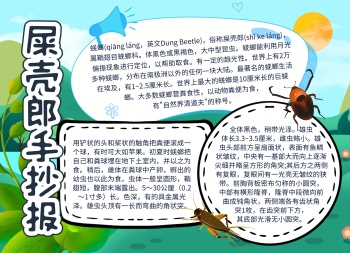 简约创意卡通屎壳郎科普宣传展示小报