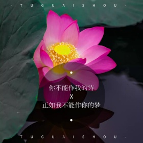 文艺绿色简约时尚树叶胶片风公众号配图