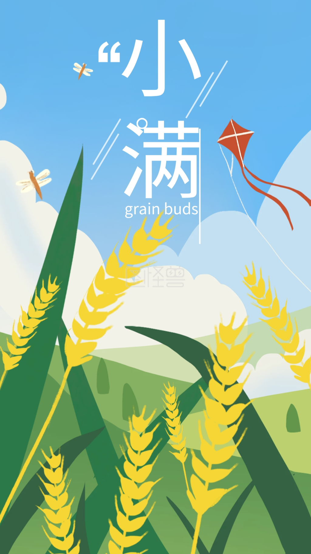 小满二十四节气传统节日手机插画海报手绘