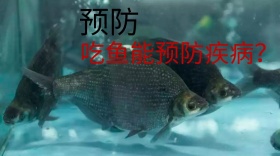 预防疾病简约白色公众号封面