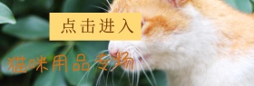 猫咪宠物用品专场促销banner模板