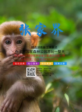 创意大气简约张家界旅游海报