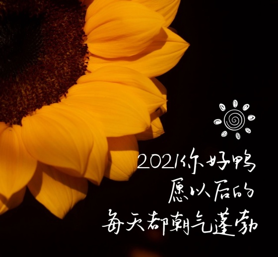 2021你好图片大全_海报模板79686-图怪兽在线图片编辑器
