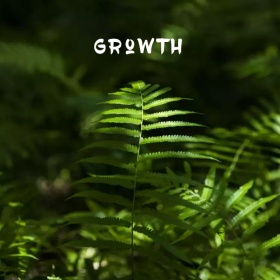 成长绿色植物手机微博封面模板