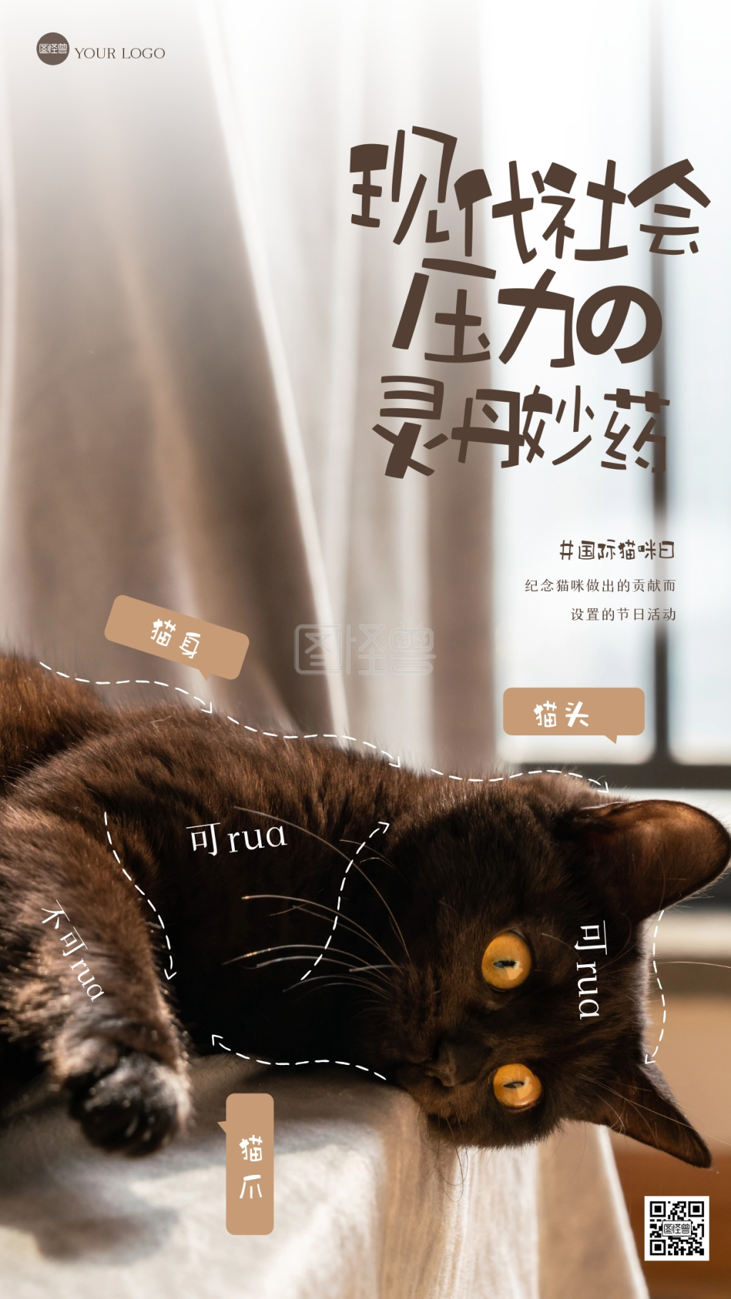 可爱国际猫咪日摄影图海报