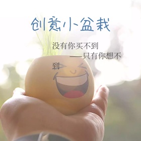 创意小盆栽简约漫画手绘淘宝主图