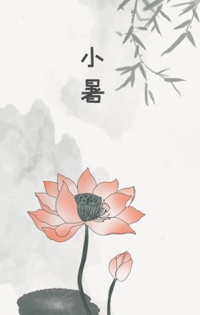 小暑西瓜男孩荷花手绘治愈海报