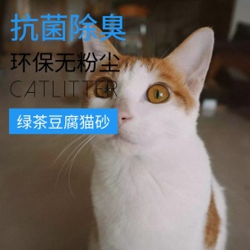 猫砂主图 猫砂 抗菌