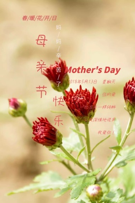 母亲节公众号配图模板