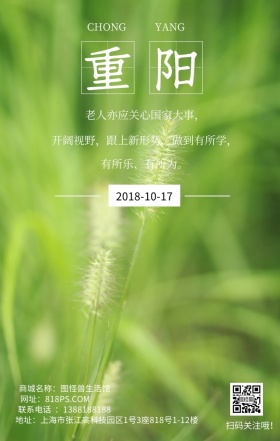 重阳节节日菊花黄色文艺简约日签