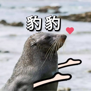 豹豹抱抱海豹动物可爱自然卖萌撒娇表情包