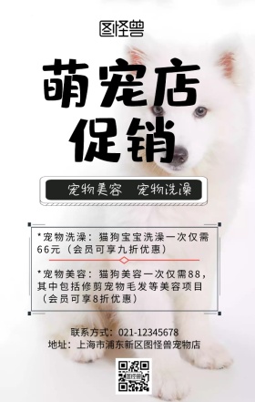 宠物店宣传海报