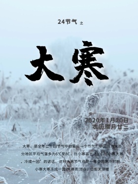 白色大寒节气海报