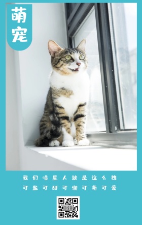 萌宠 我们喵星人就是这么拽 可盐可甜可潮可萌可爱 卡通宠物猫之日可爱手机海报