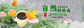 清新扇子茶具茶饮茶叶绿茶淘宝banner
