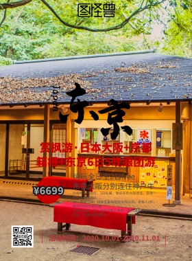 日本东京旅游宣传推广海报