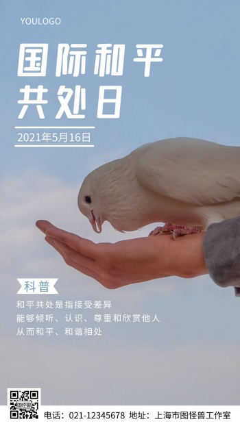 摄影图国际和平共处日简约风手机海报