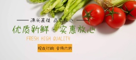 蔬菜吃货节白色简约淘宝banner