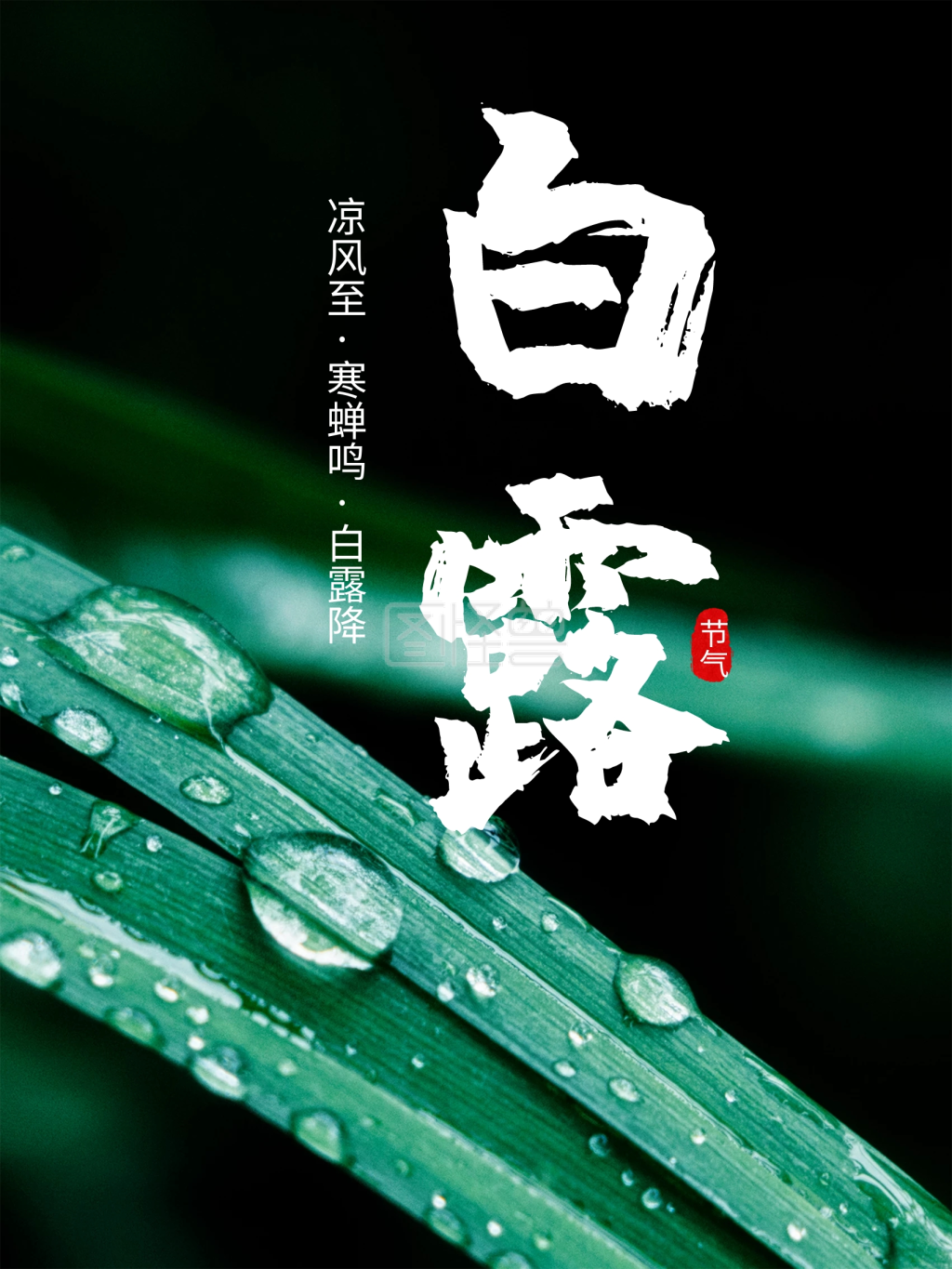 中国传统二十四节气白露创意海报