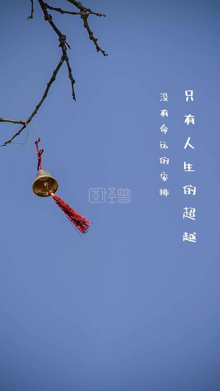 只有人生的超越 没有命运的安排 文艺摄影图手机壁纸