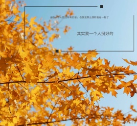 特效字+线条形状+PNG元素