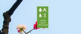 春天来了 阵阵细雨 滋润大地 花在开树在发芽 春季春天你好公众号封面